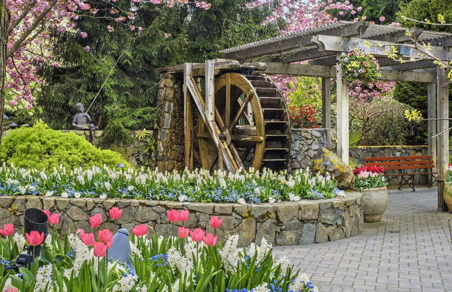 Butchart Gardens Tour - Foto 2