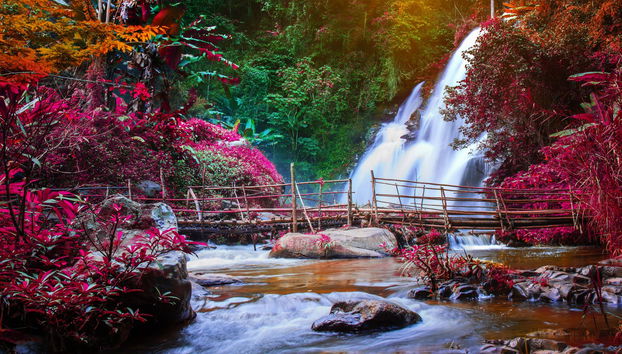 Butchart Gardens Tour - Foto 5