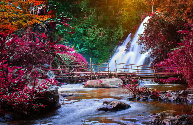 Butchart Gardens Tour - Foto 4