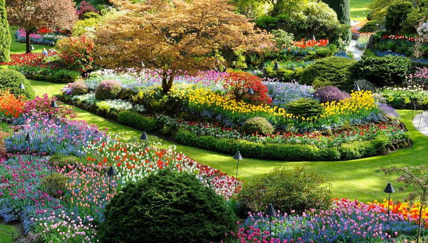 Butchart Gardens Tour - Foto 3