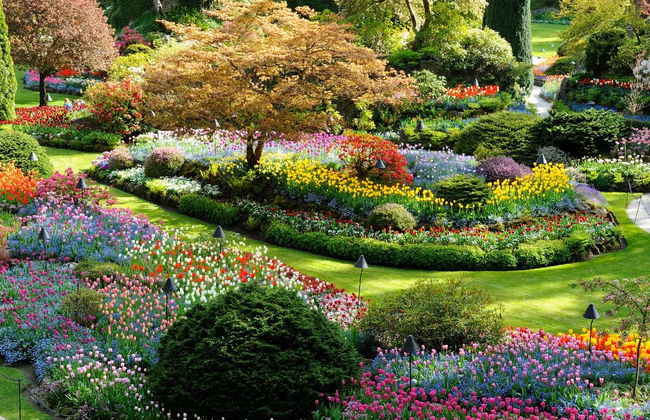 Butchart Gardens Tour - Foto 3