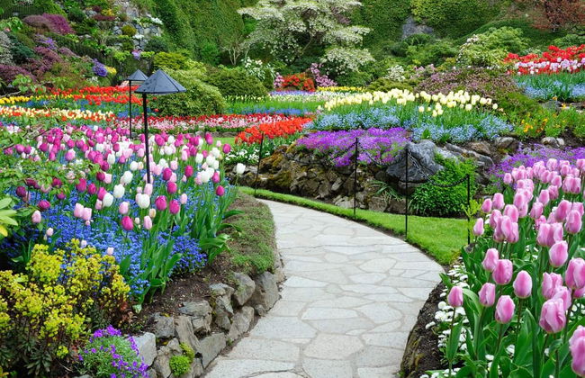 Butchart Gardens Tour - Foto 1