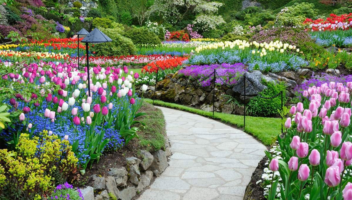 Butchart Gardens Tour - Foto 1