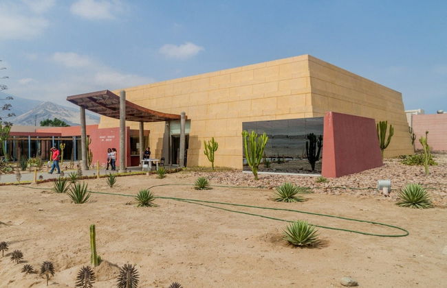 Excursión a las Pirámides Sol y Luna - Foto 2