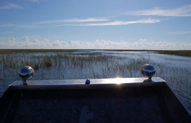 Paseo privado en aerodeslizador por los Everglades - Foto 3
