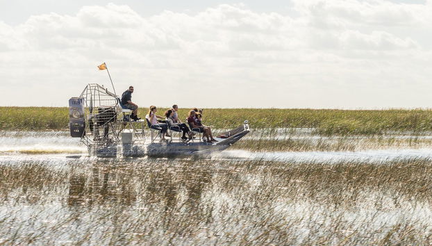 Everglades Private Airboat Tour - Foto 2