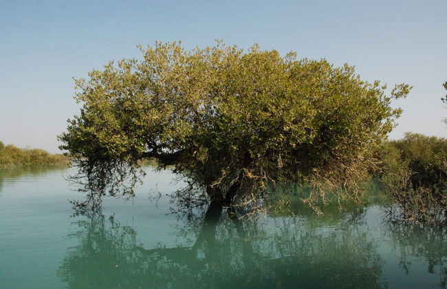 Tour privado de 7 días por la isla de Qeshm - Foto 3