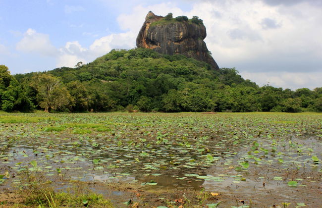 Excursión privada a Sigiriya y Dambulla - Foto 6