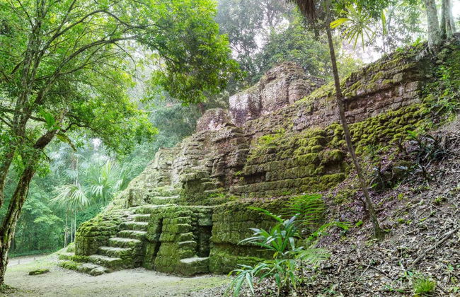 Excursión a Tikal - Foto 1