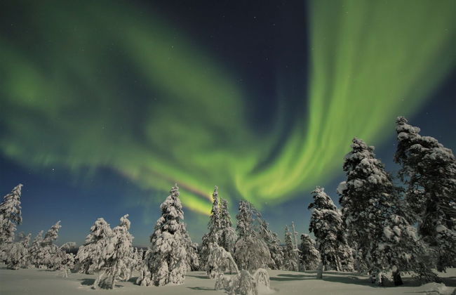 Tour fotográfico da aurora boreal - Foto 2