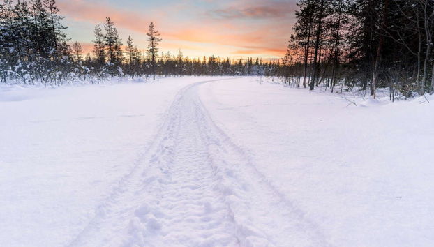 Mountaineering Course in Pyha-Luosto National Park - Photo 5
