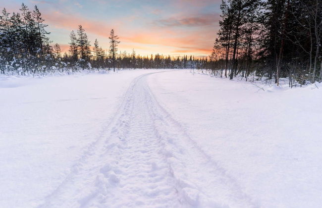 Mountaineering Course in Pyha-Luosto National Park - Photo 5