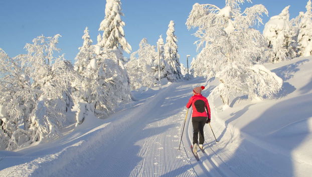 Mountaineering Course in Pyha-Luosto National Park - Photo 2
