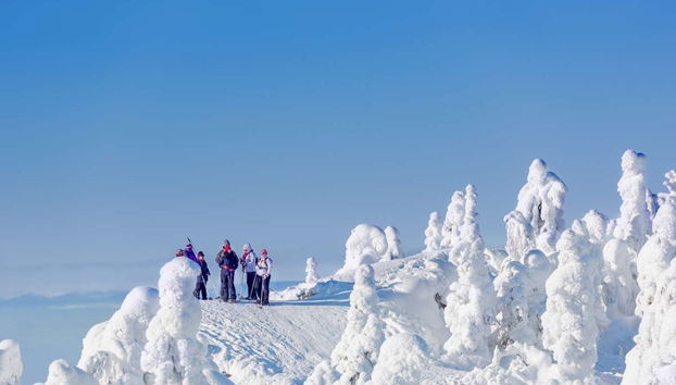Mountaineering Course in Pyha-Luosto National Park - Photo 4