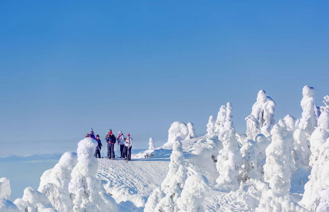 Mountaineering Course in Pyha-Luosto National Park - Photo 4
