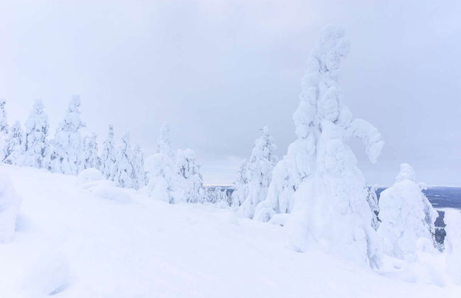 Mountaineering Course in Pyha-Luosto National Park - Photo 7
