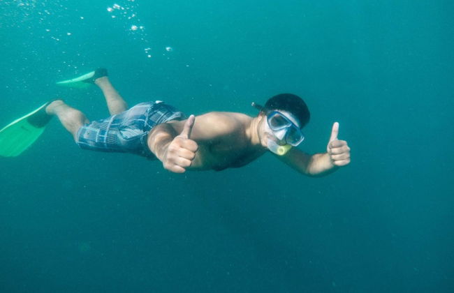 Excursión en barco por Bahía de las Islas - Foto 6