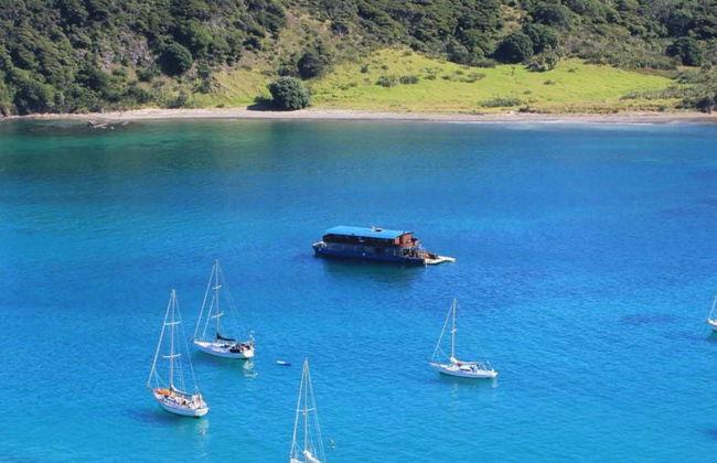 Excursión en barco por Bahía de las Islas - Foto 7