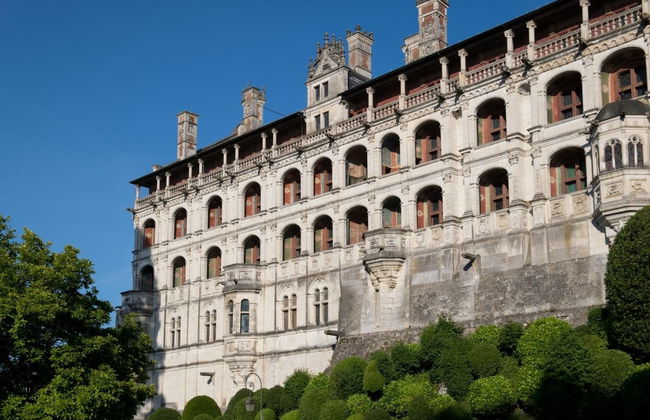 Espectáculo de luz y sonido en el castillo de Blois - Foto 6