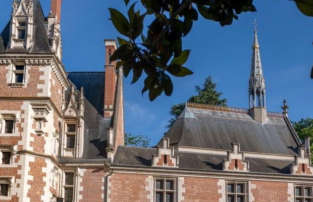 Espectáculo de luz y sonido en el castillo de Blois - Foto 7