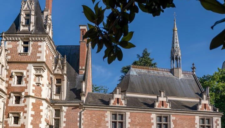 Spectacle son et lumière au Château de Blois