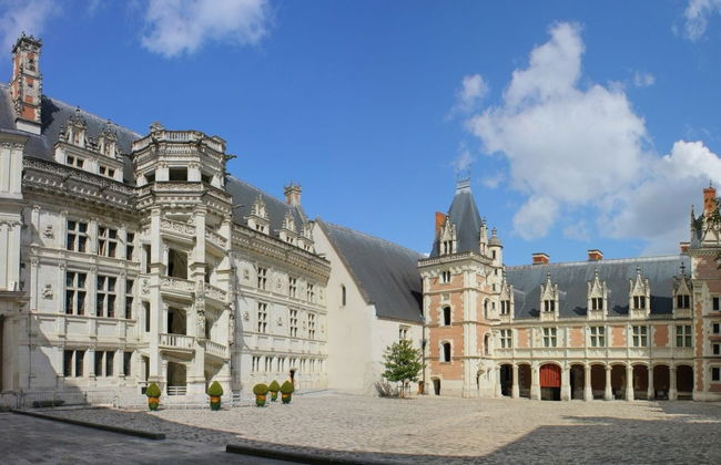Espectáculo de luz y sonido en el castillo de Blois - Foto 2