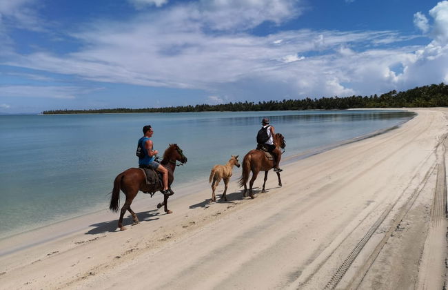 Costa Esmeralda & Punta de la Finca Beaches Horse Ride - Foto 7