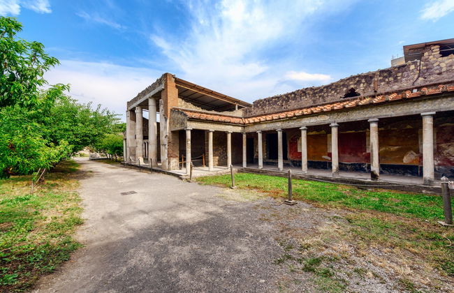 Biglietti per la villa romana di Oplontis - Foto 6