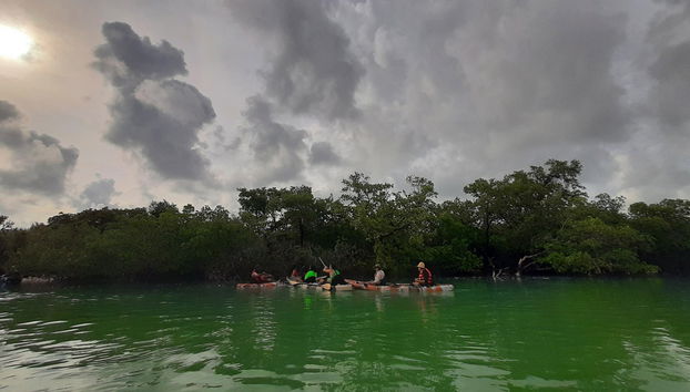 Balade en kayak à Holbox - Photo 4