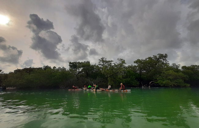 Kayak Tour in Holbox - Foto 4