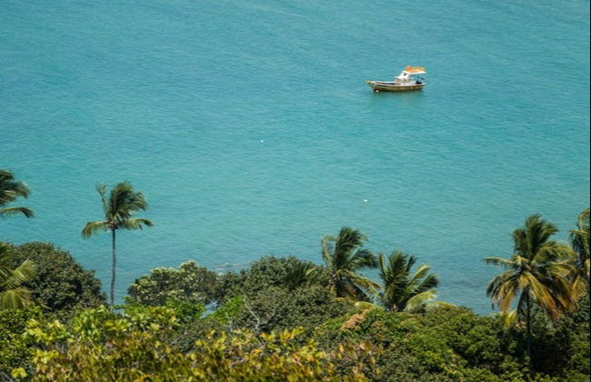 Excursión a las playas de Cabo de Santo Agostinho - Foto 4