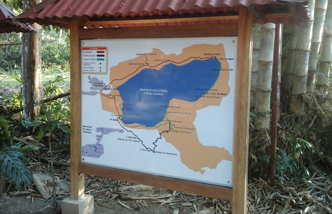 Excursión al Parque Nacional Tingo María - Foto 2