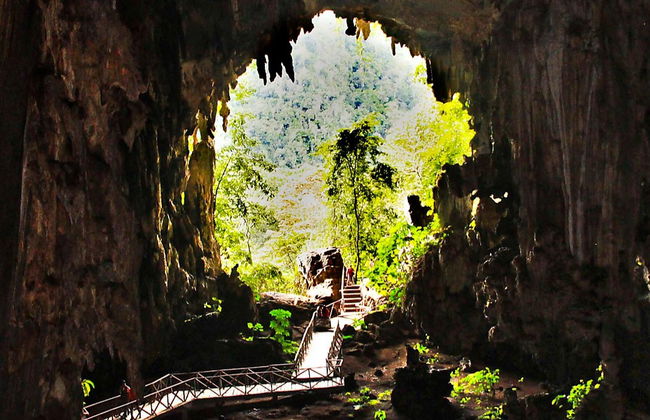 Excursión al Parque Nacional Tingo María - Foto 7
