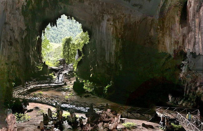 Excursión al Parque Nacional Tingo María - Foto 5