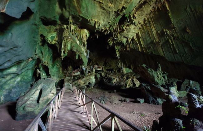 Escursione al Parco Nazionale Tingo María - Foto 4
