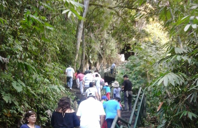 Excursión al Parque Nacional Tingo María - Foto 4
