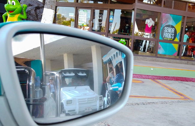 Visite panoramique privée en voiture "pulmonía" - Photo 6