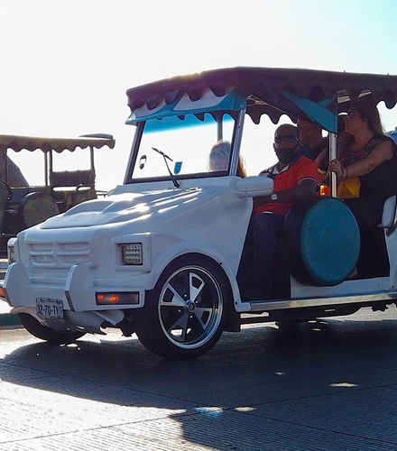Foto de Tour panorámico en coche pulmonía