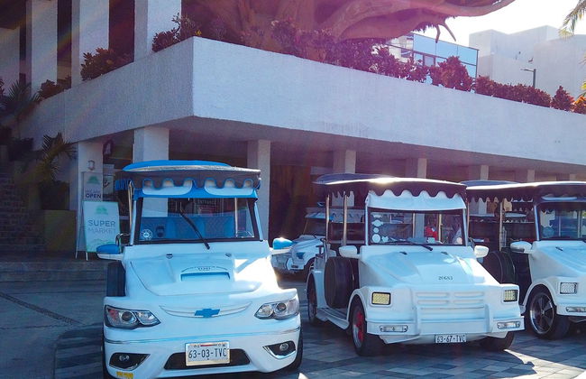 Tour panoramico privato di Mazatlán in vettura tipica - Foto 7