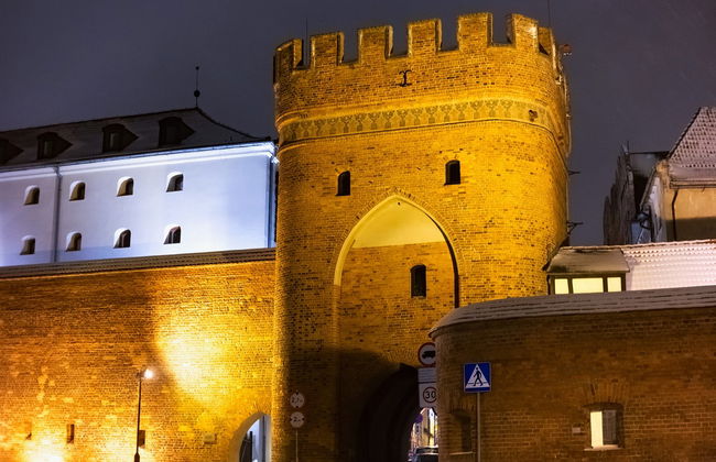 Torun Medieval Port Boat Tour - Foto 1