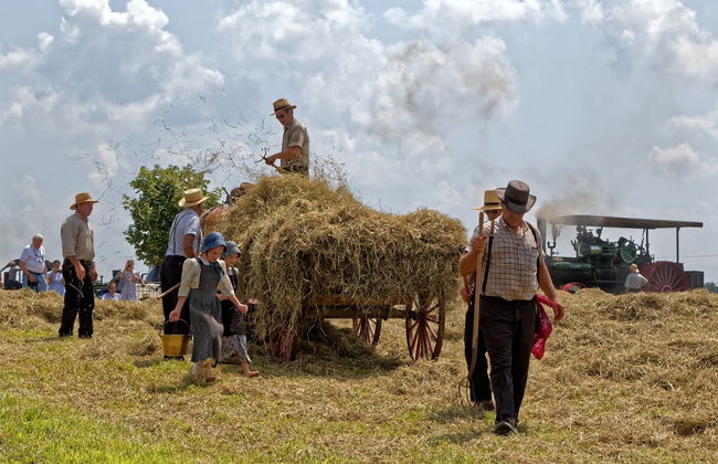 Excursion aux champs mennonites de Cuauhtémoc - Photo 1