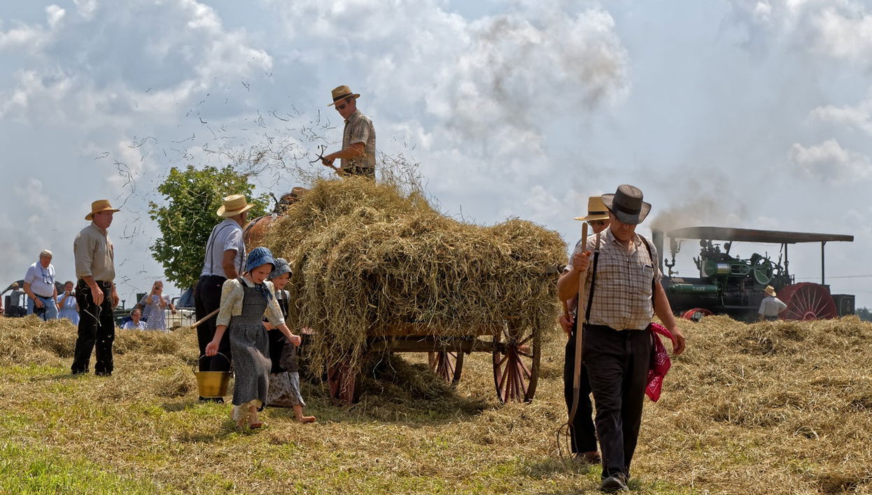 Cuauhtemoc Mennonite Fields Tour - Foto 1