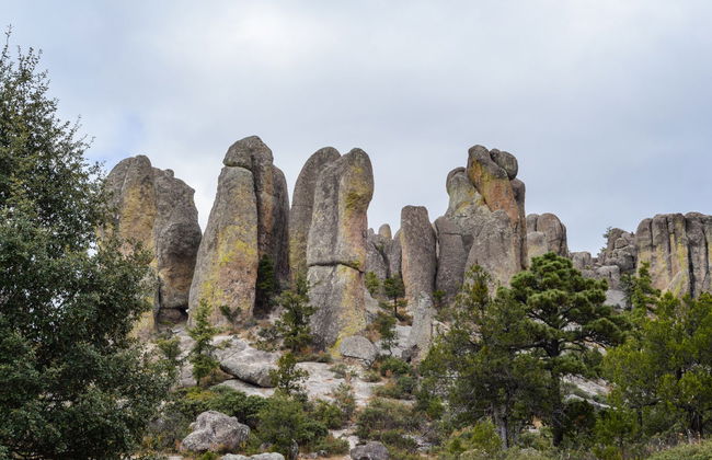Transfert vers Creel + Déjeuner avec Mennonites - Photo 1
