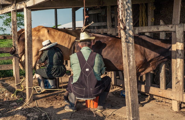 Excursion aux champs mennonites de Cuauhtémoc - Photo 2