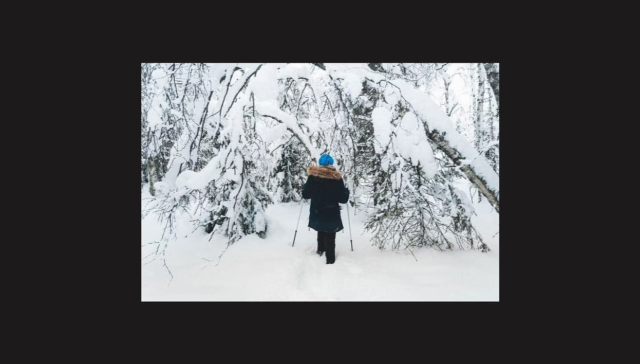 Passeio com raquetes de neve por Levi - Foto 1