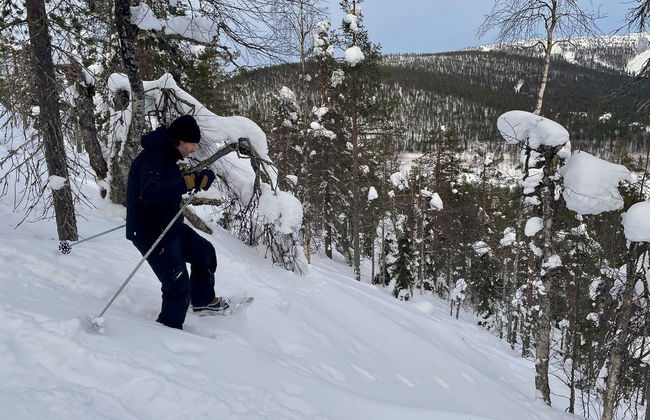 Paseo con raquetas de nieve por Levi - Foto 8