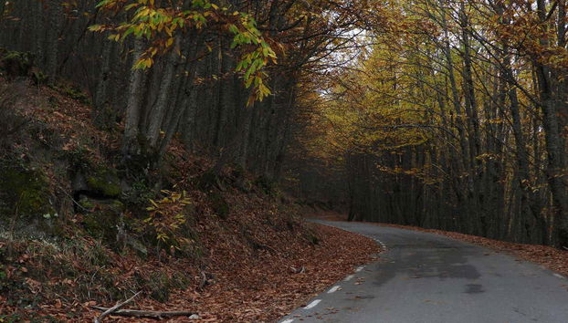 Tour en 4x4 por el valle del Ambroz - Foto 4