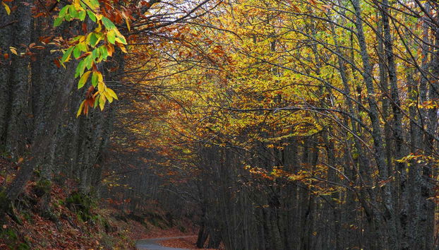 Tour en 4x4 por el valle del Ambroz - Foto 5