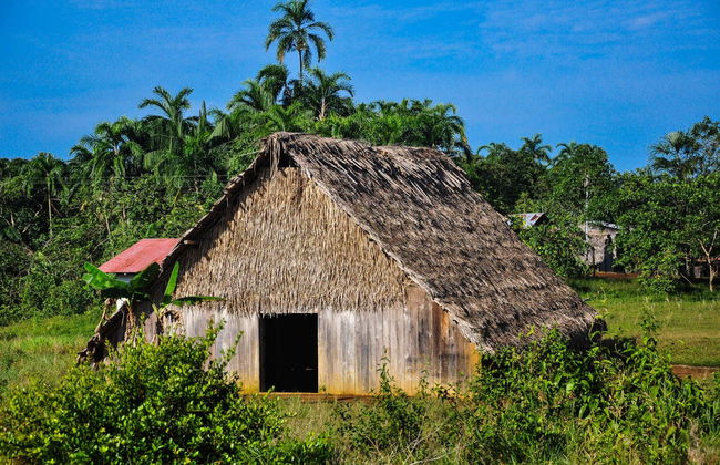 Visita di una maloca indigena di Puerto Nariño in barca - Foto 3