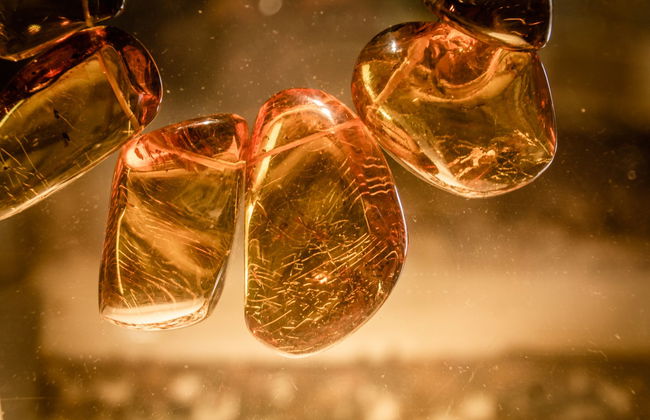 Excursión a Santo Domingo - Foto 7